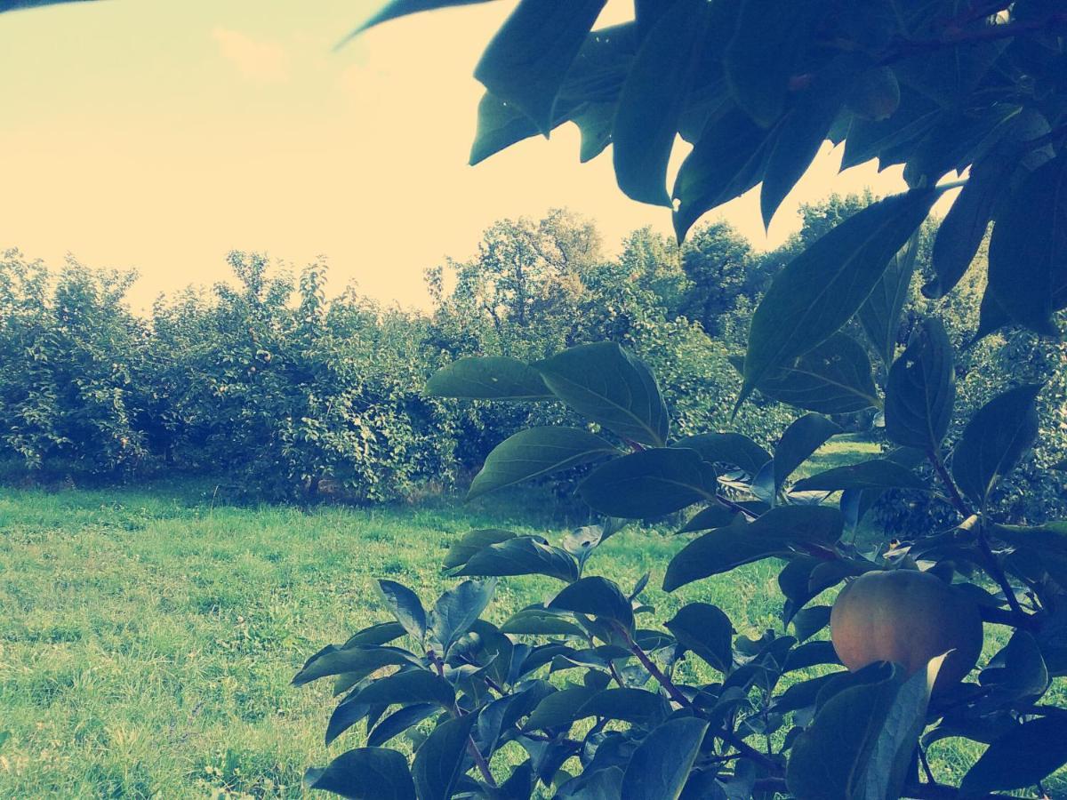 Alojamento de Acomodação e Pequeno-almoço Cascina Bucolica *